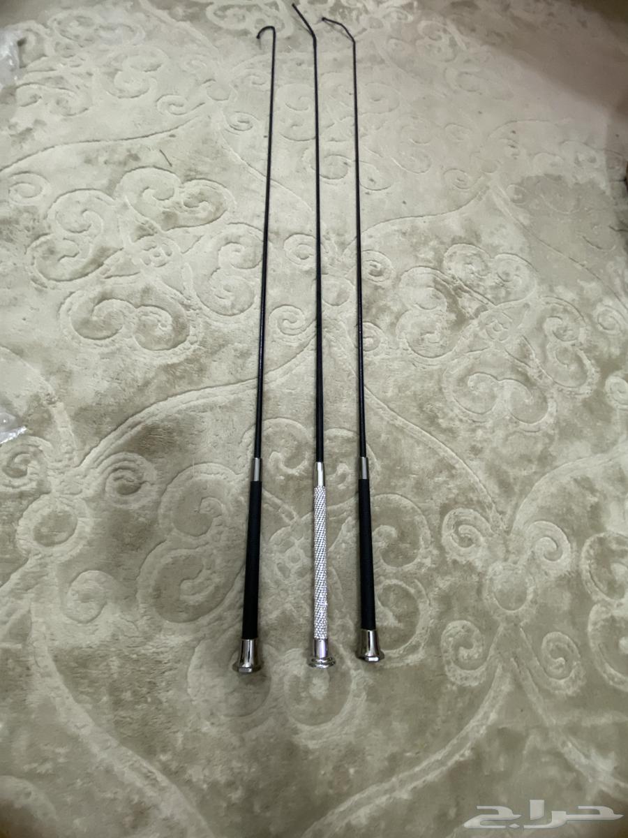 Horse whip63621839588354112