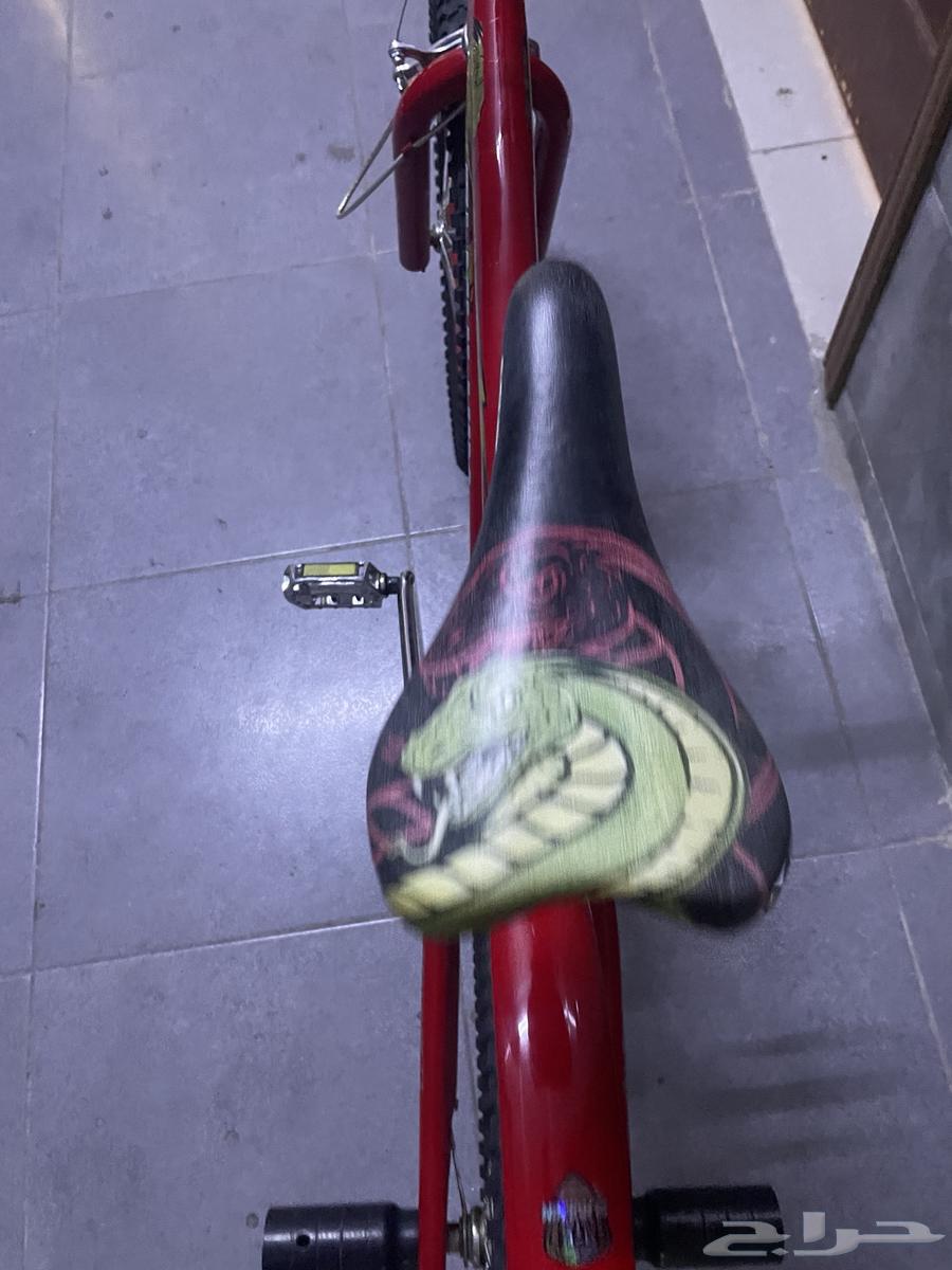 Cyclone Cobra63622378753922113