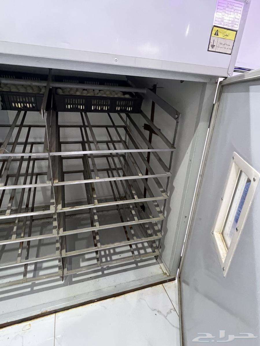 Incubator for sale63618958550274112