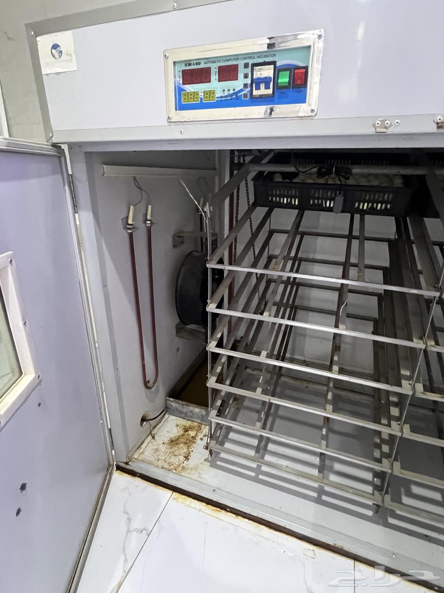 Incubator for sale63618958550274113