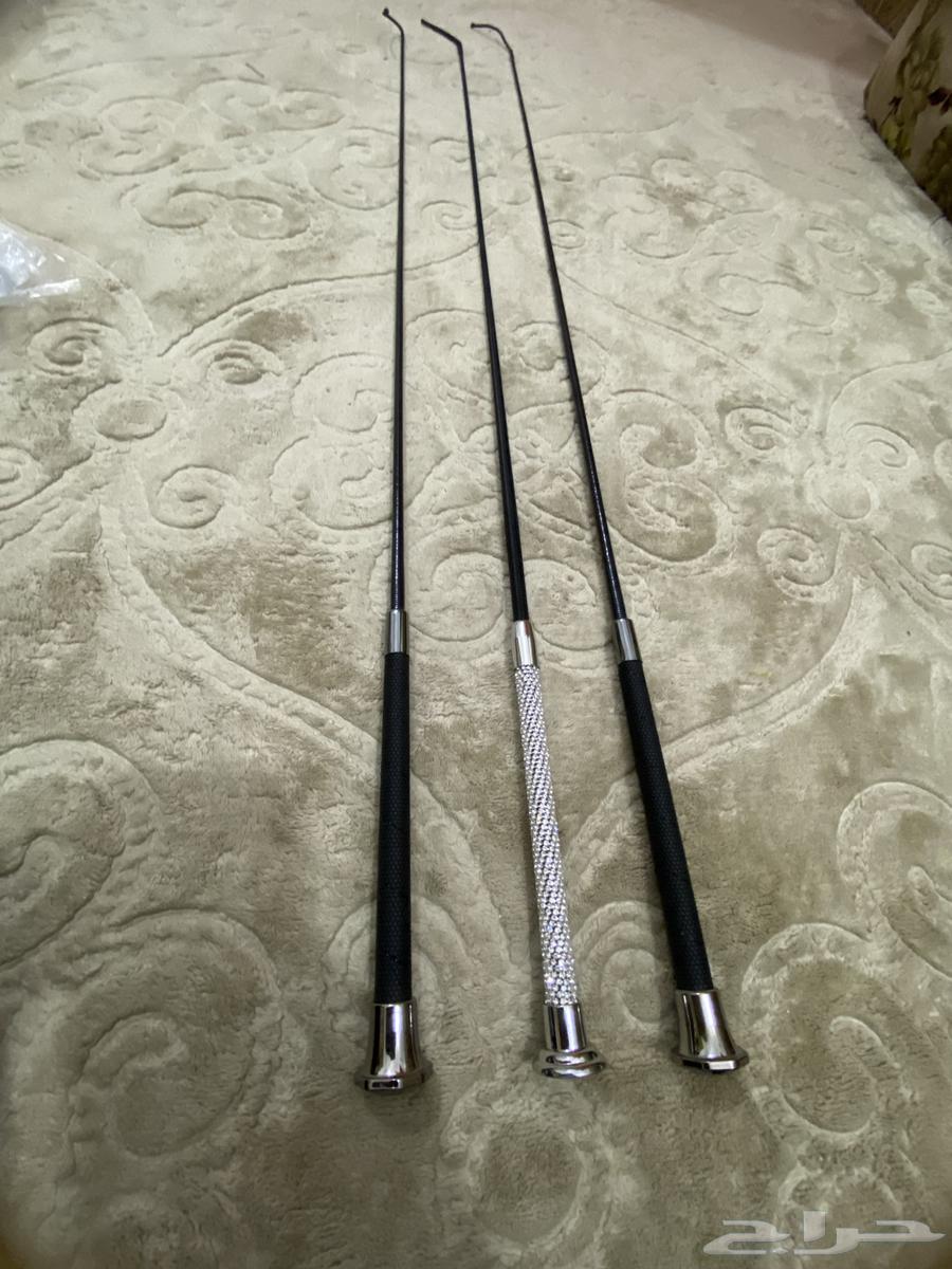 Horse whip63621839588354113