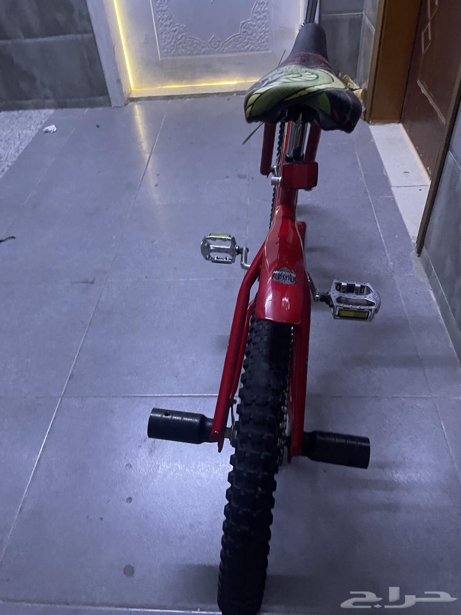 Cyclone Cobra63622378753922112