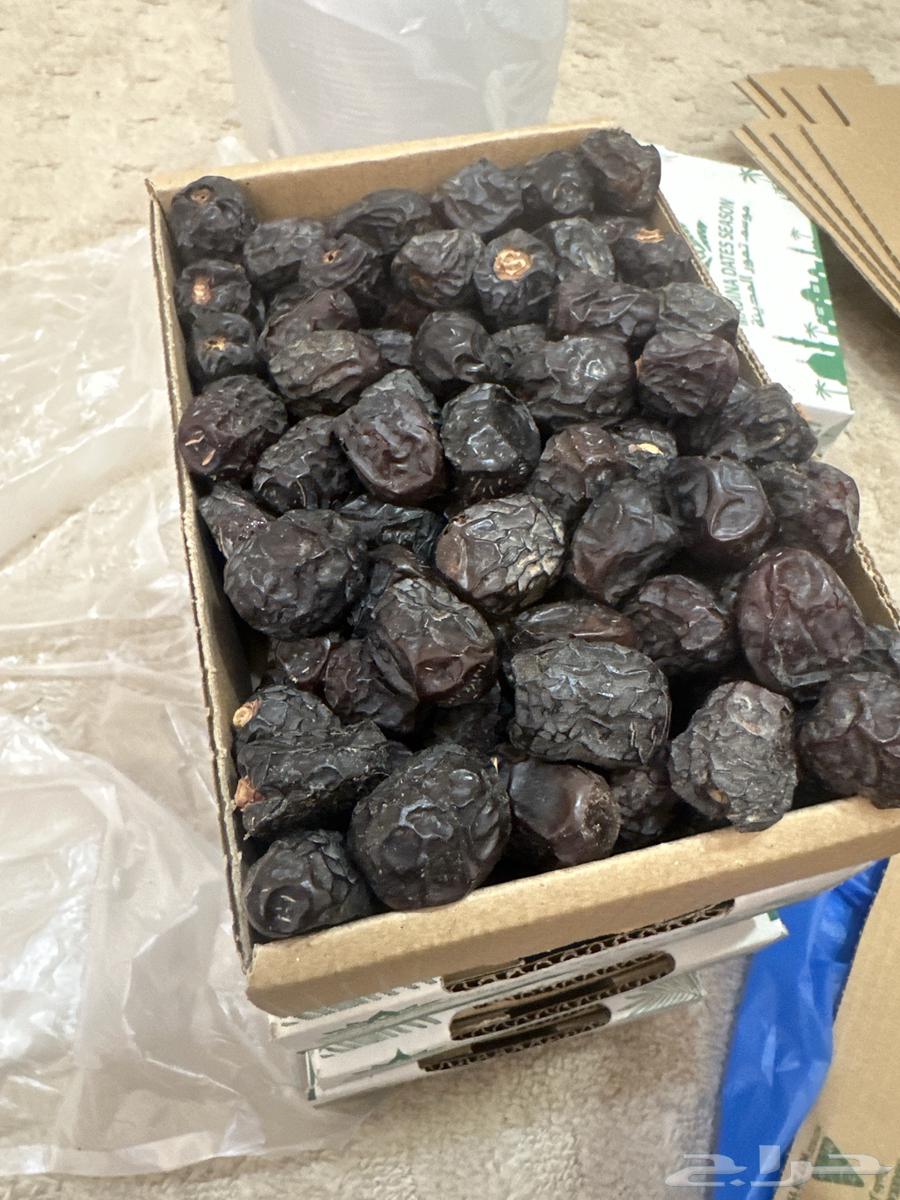 Medina dates63621760203907114