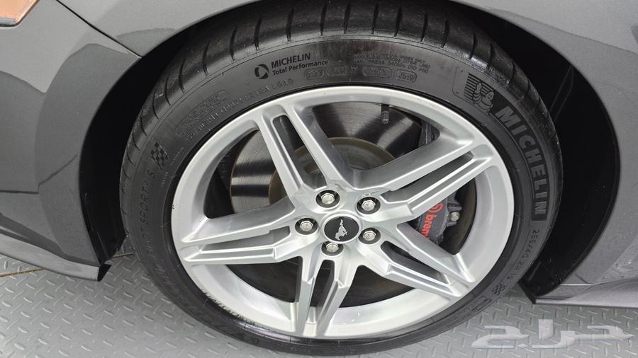 Mustang GT Coupe 2020 for Import from Korea63654905901442114