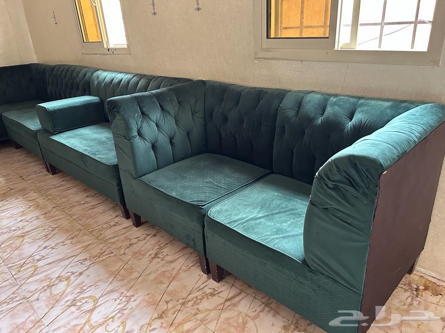 كنب اخضر للبيع63624947004163113