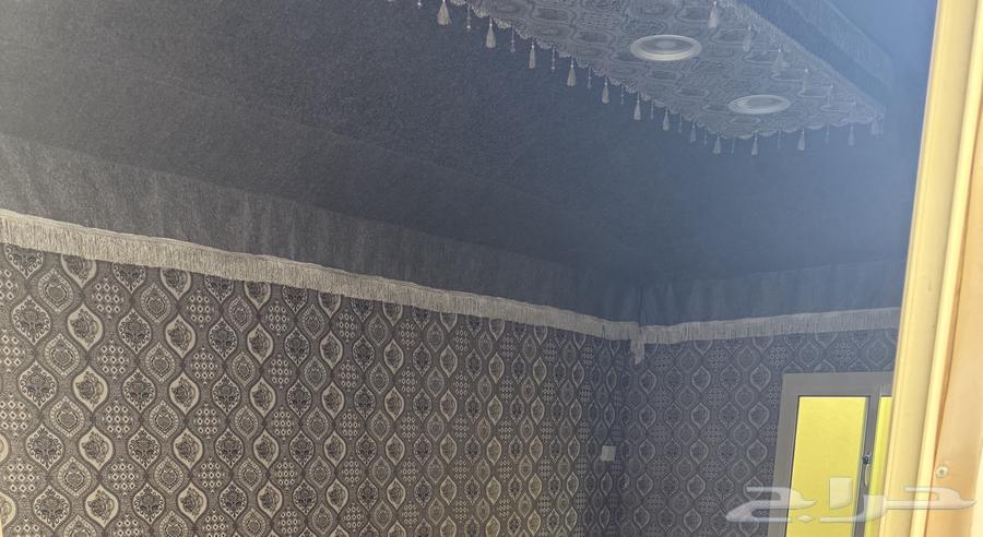 خيمه للبيع في حفر الباطن 3 463654679421698112