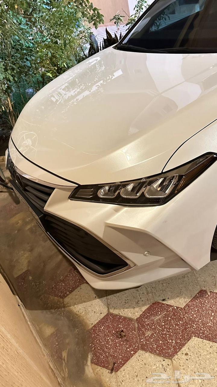 Avalon 2022 Limited63654906920705112
