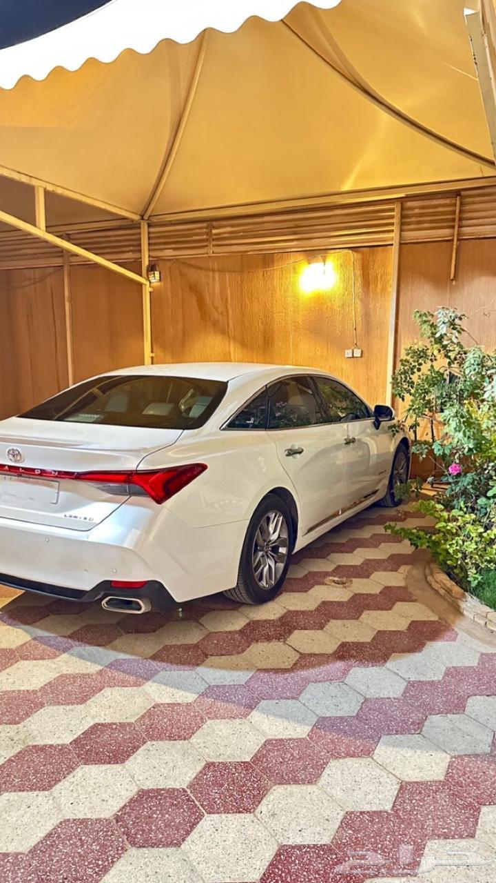 Avalon 2022 Limited63654906920705111