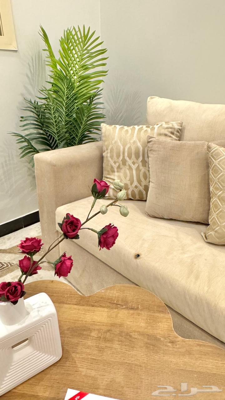 My sister's new sofa63625110887426112