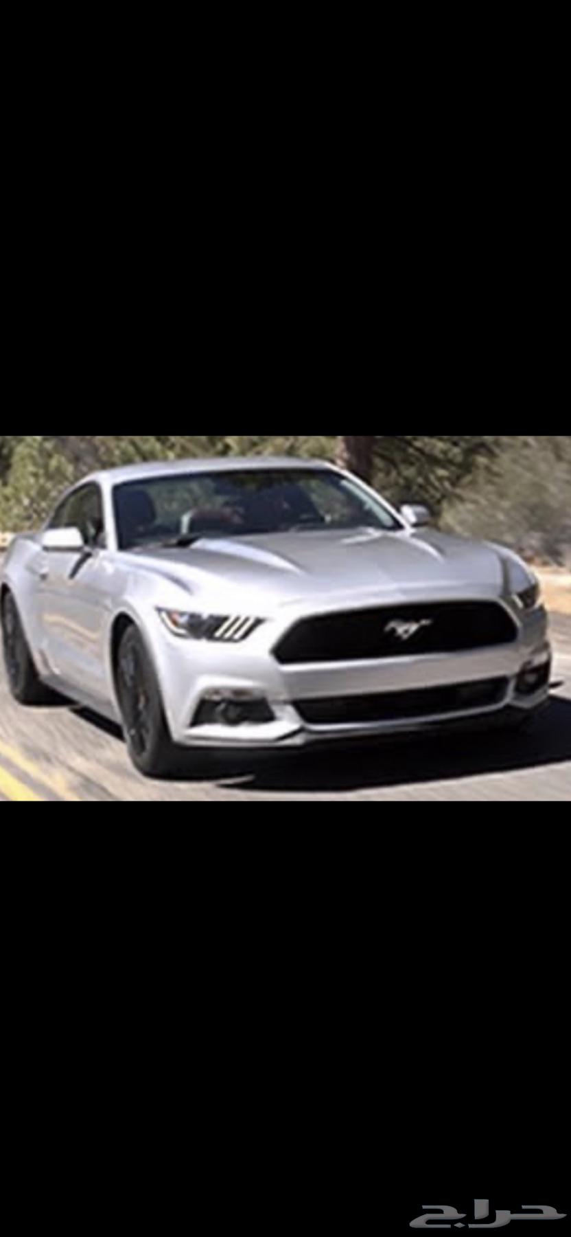 Mustang for sale63655055606658113
