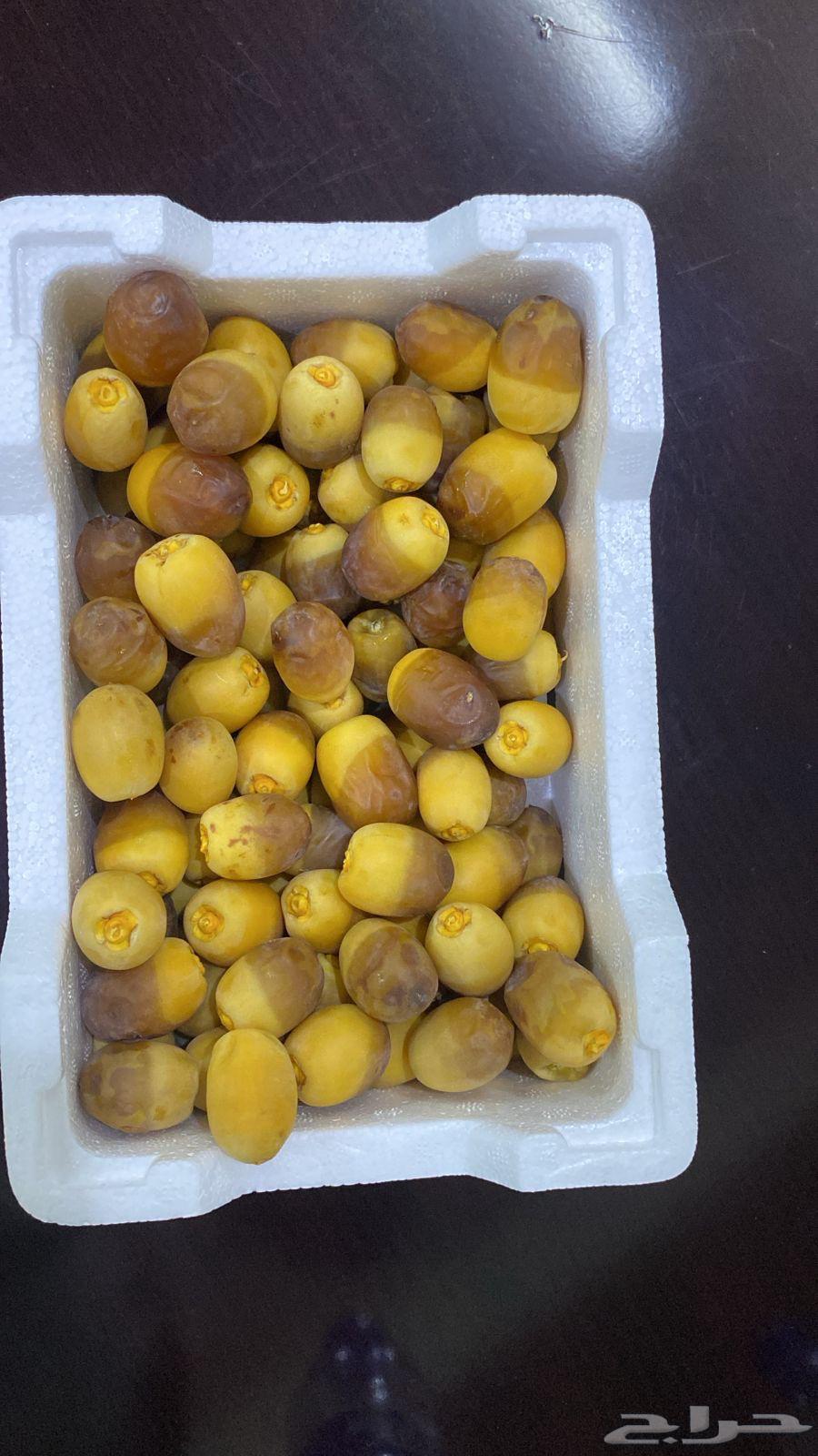 Premium Dates from Al-Madinah, New 2025 Harvest63620338073858114