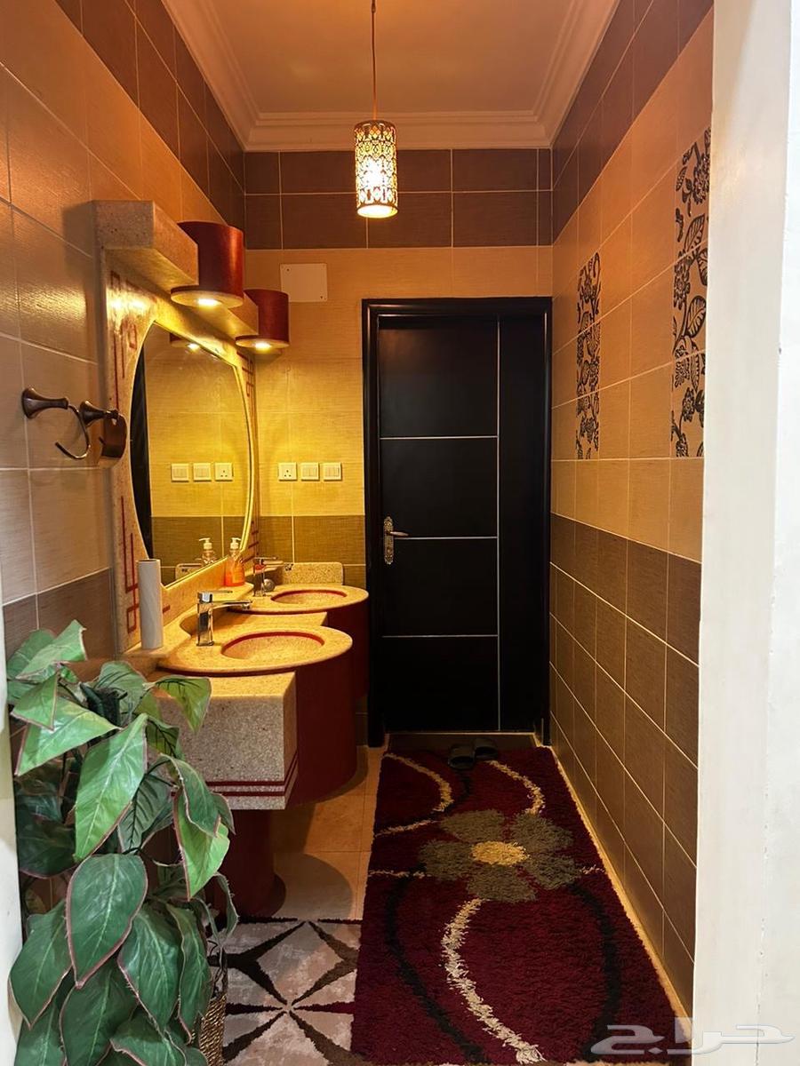 شقة للإيجار