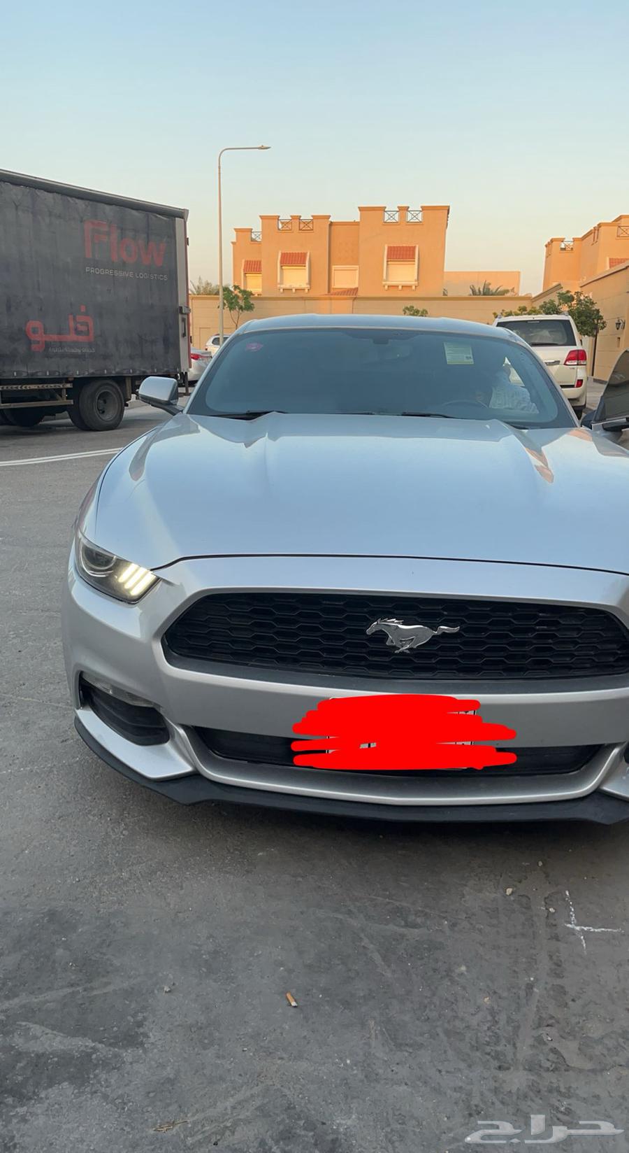 Mustang for sale63655055606658112