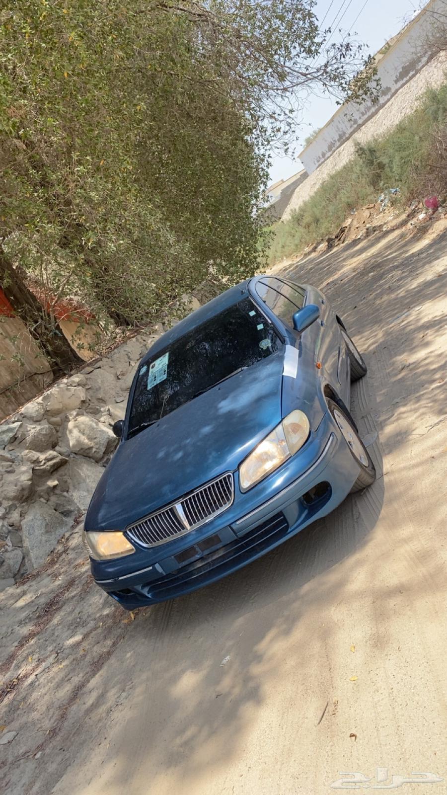 Sunny200163655066732033113
