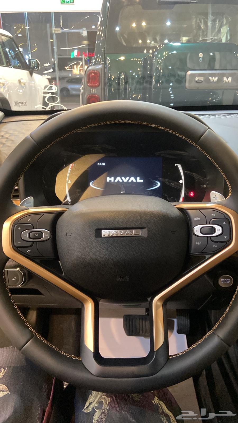 Haval Julian63656600007171114