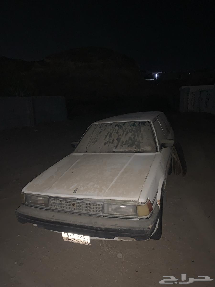Cressida63657476019585112