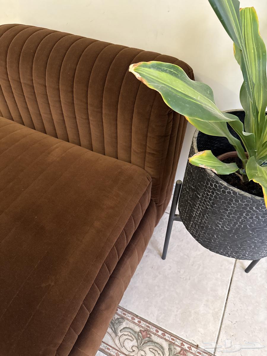 Elegant and comfortable single sofa for the living room63654957725186112