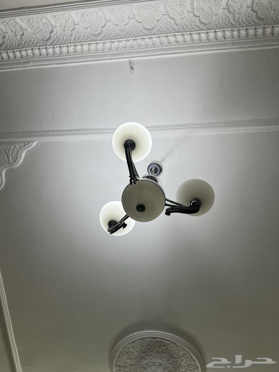 Ceiling lamps. Lighting63655091655297110