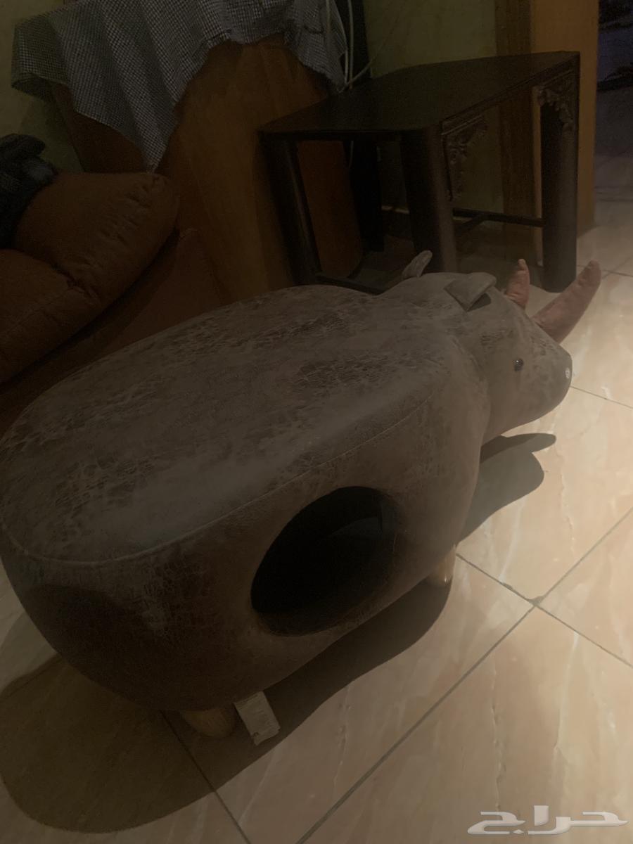 مستلزمات قطط جديده63655091398914113