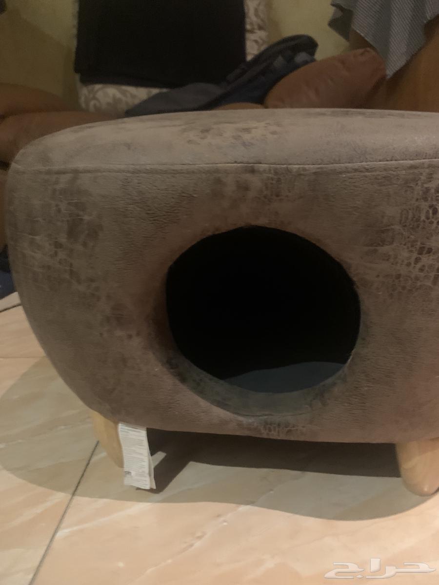 مستلزمات قطط جديده63655091398914111