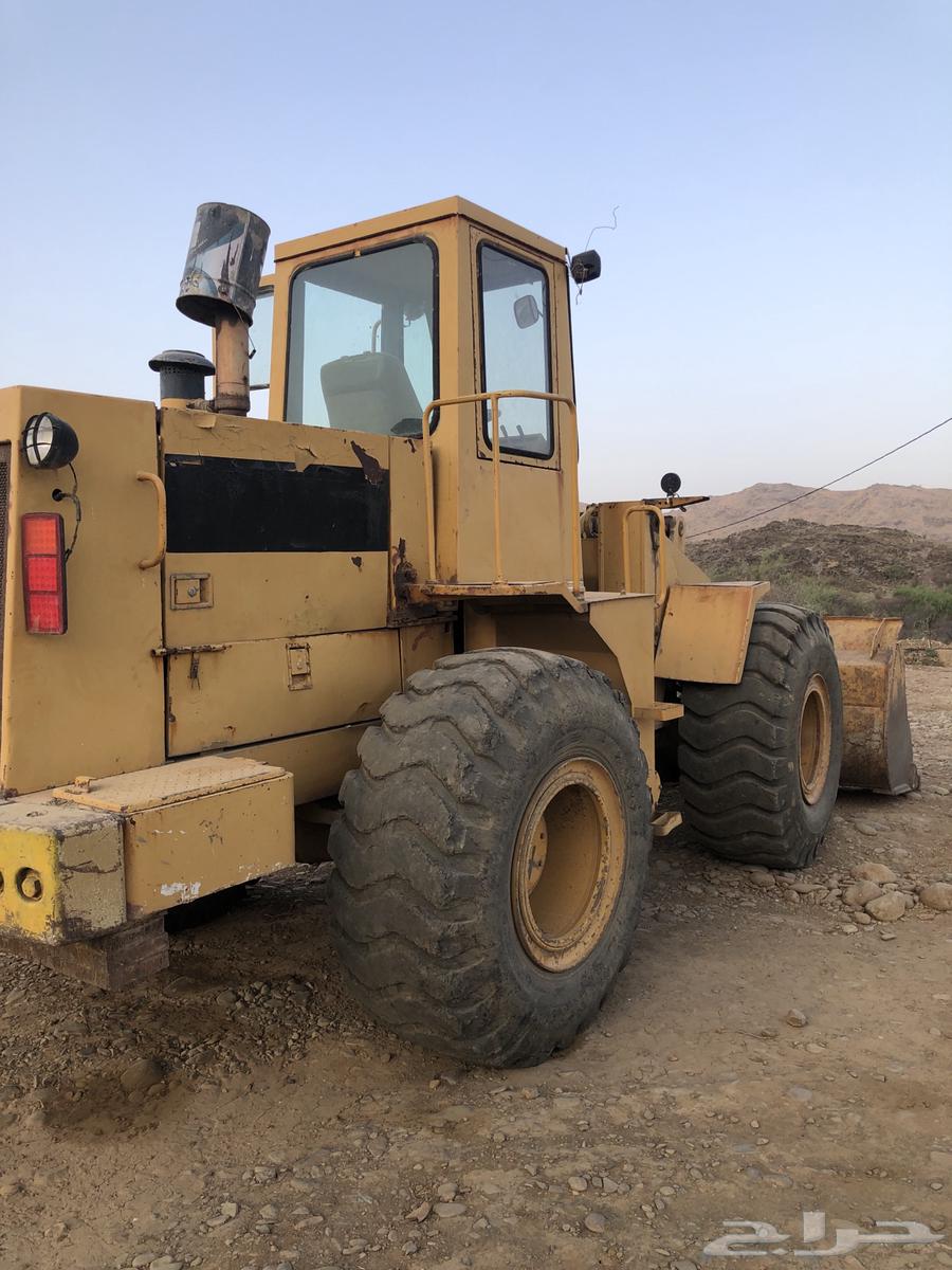 محايل عسير63667487604099112