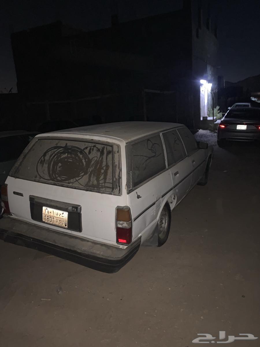 Cressida63657476019585111