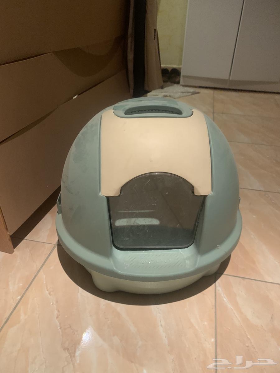 مستلزمات قطط جديده63655091398914114