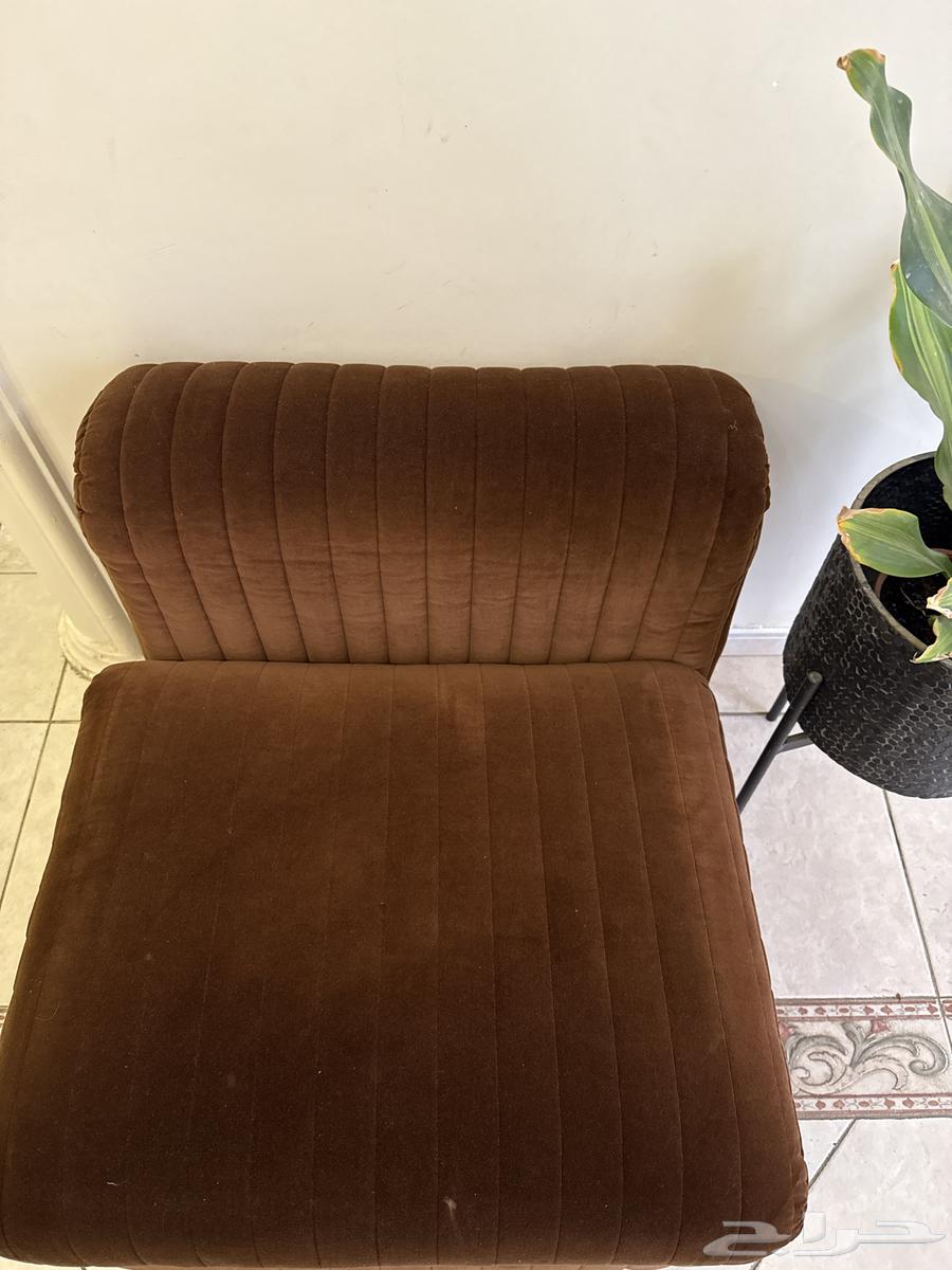 Elegant and comfortable single sofa for the living room63654957725186111