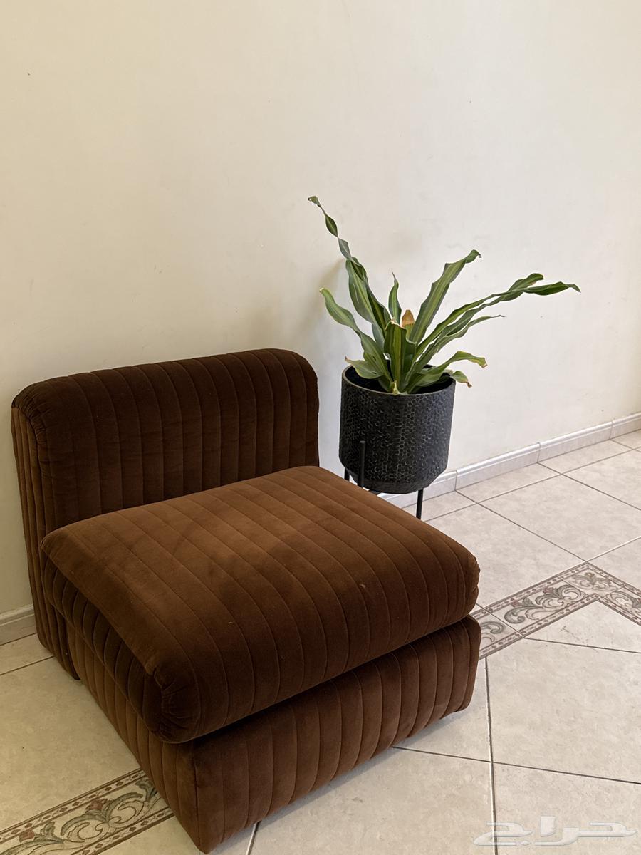 Elegant and comfortable single sofa for the living room63654957725186110