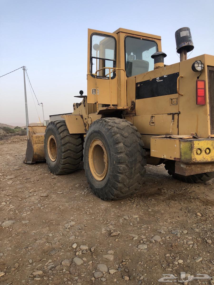 محايل عسير63667487604099111