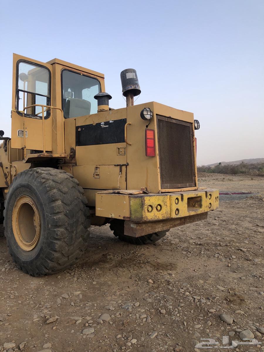 محايل عسير63667487604099110