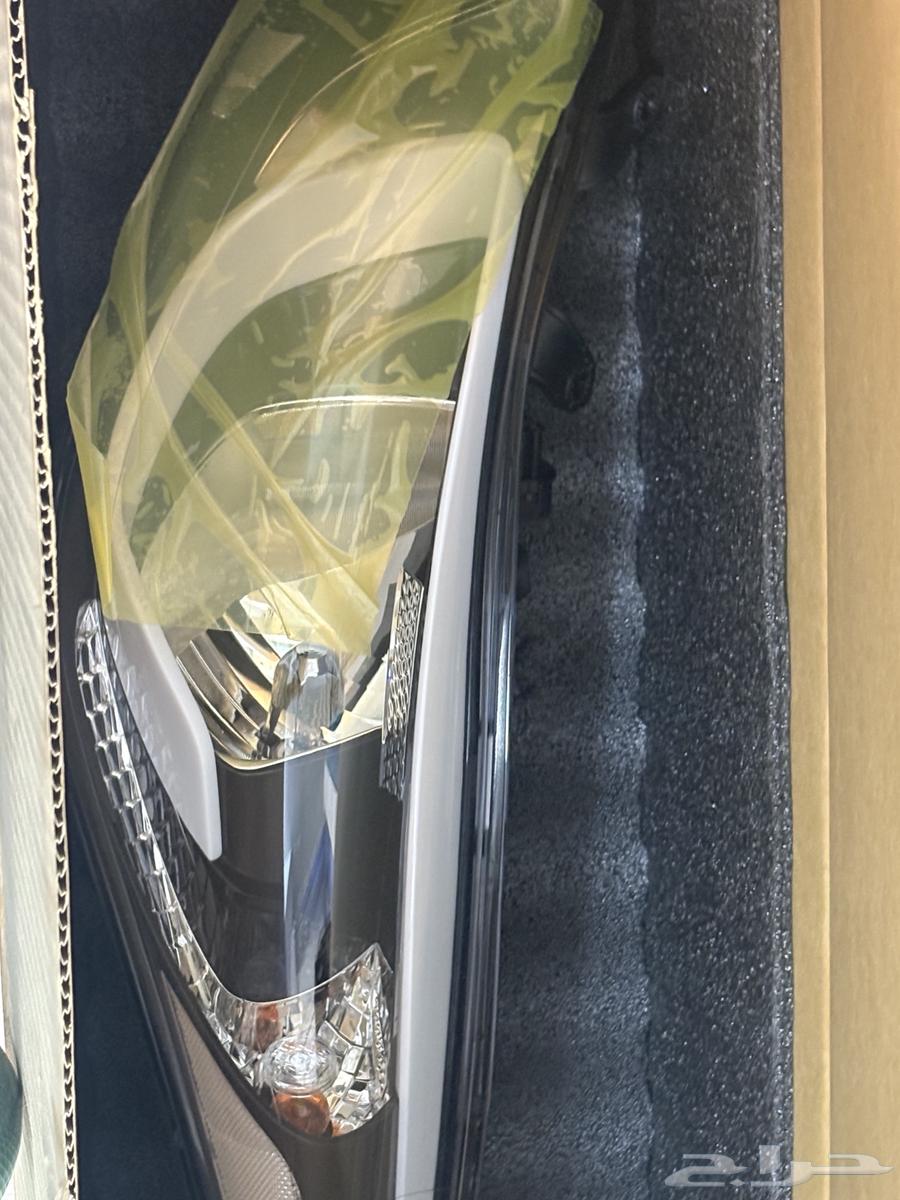 Nitra Bulb 12-1663655169407747111