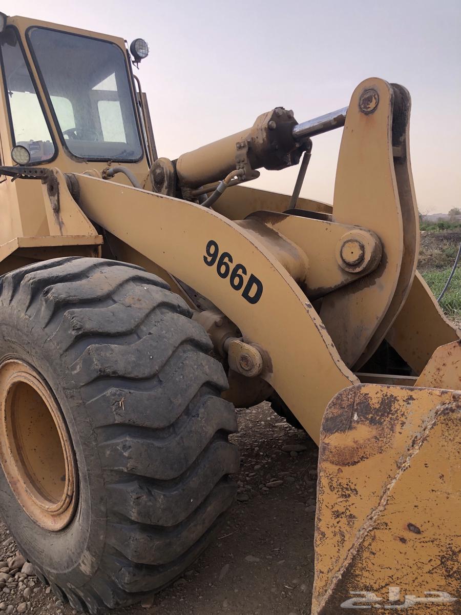 محايل عسير63667487604099114