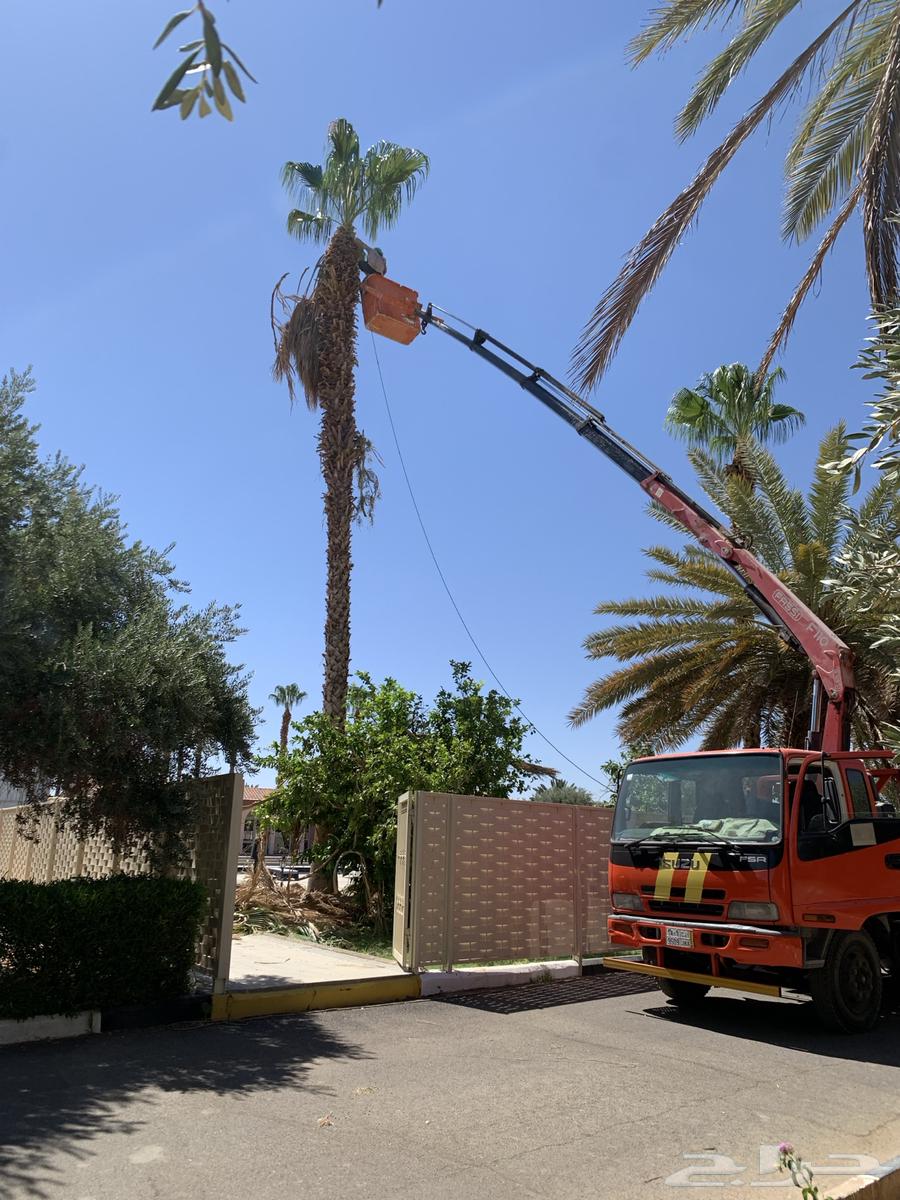 Crane basket63656767368194111