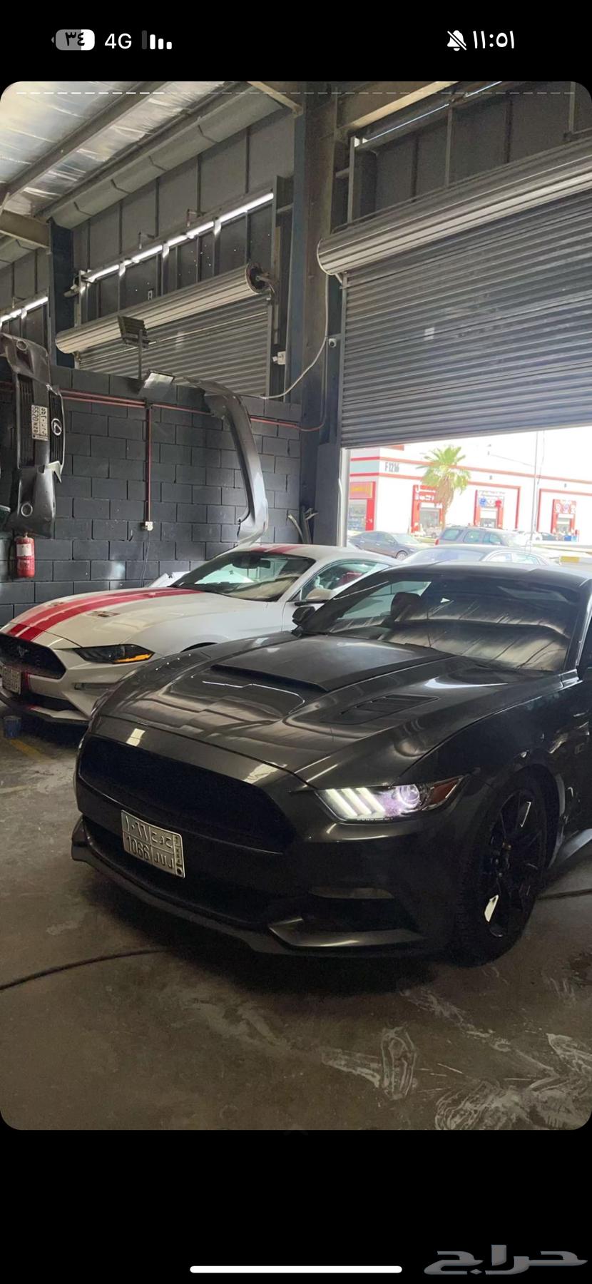 Mustang 2015 Premium63655063893889114