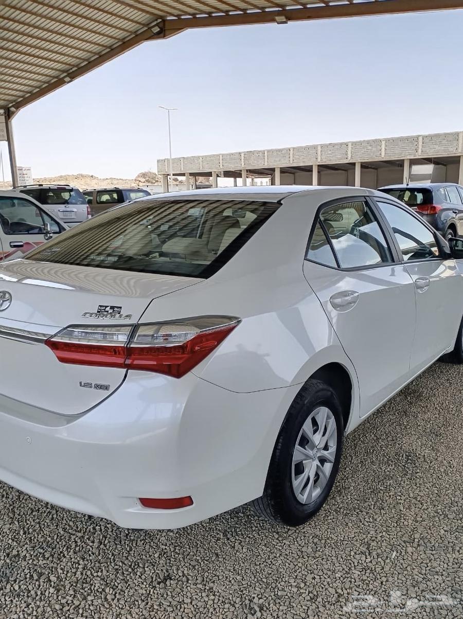 تم البيع63655168670978113