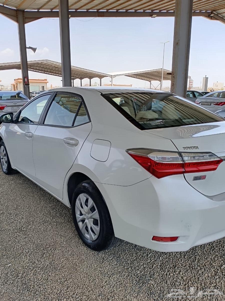 تم البيع63655168670978114