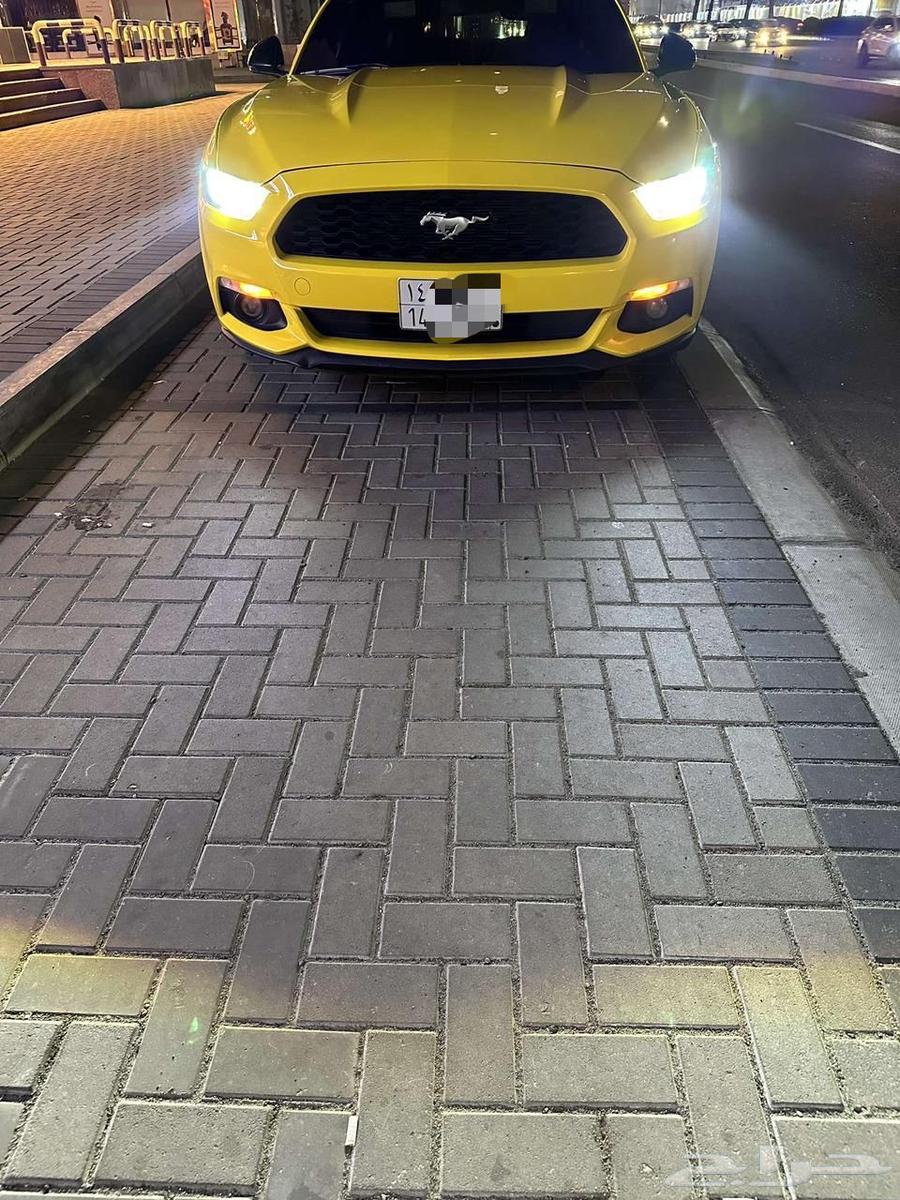 موستنق ايكوبوست 201563655066886274111