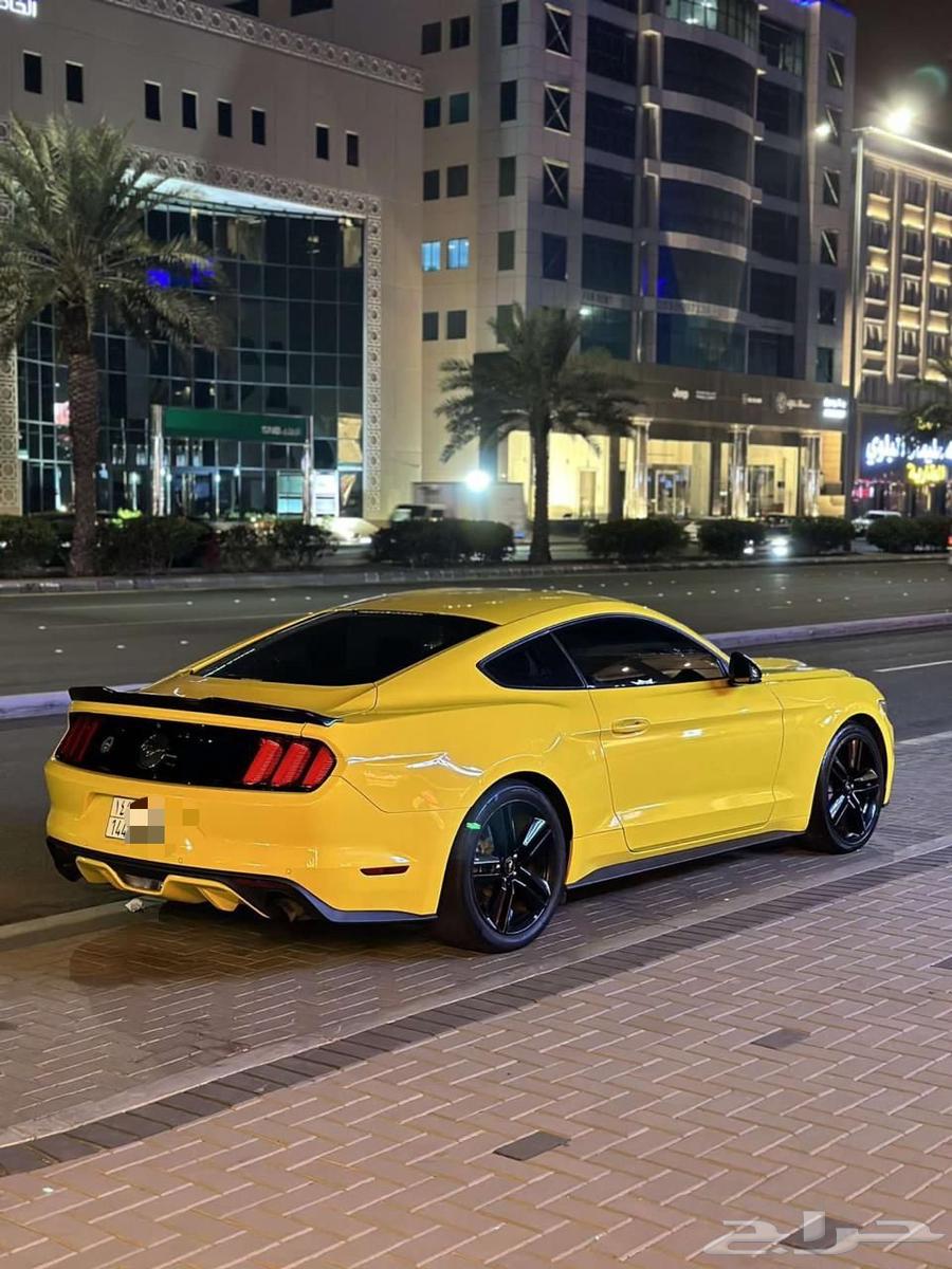 موستنق ايكوبوست 201563655066886274110