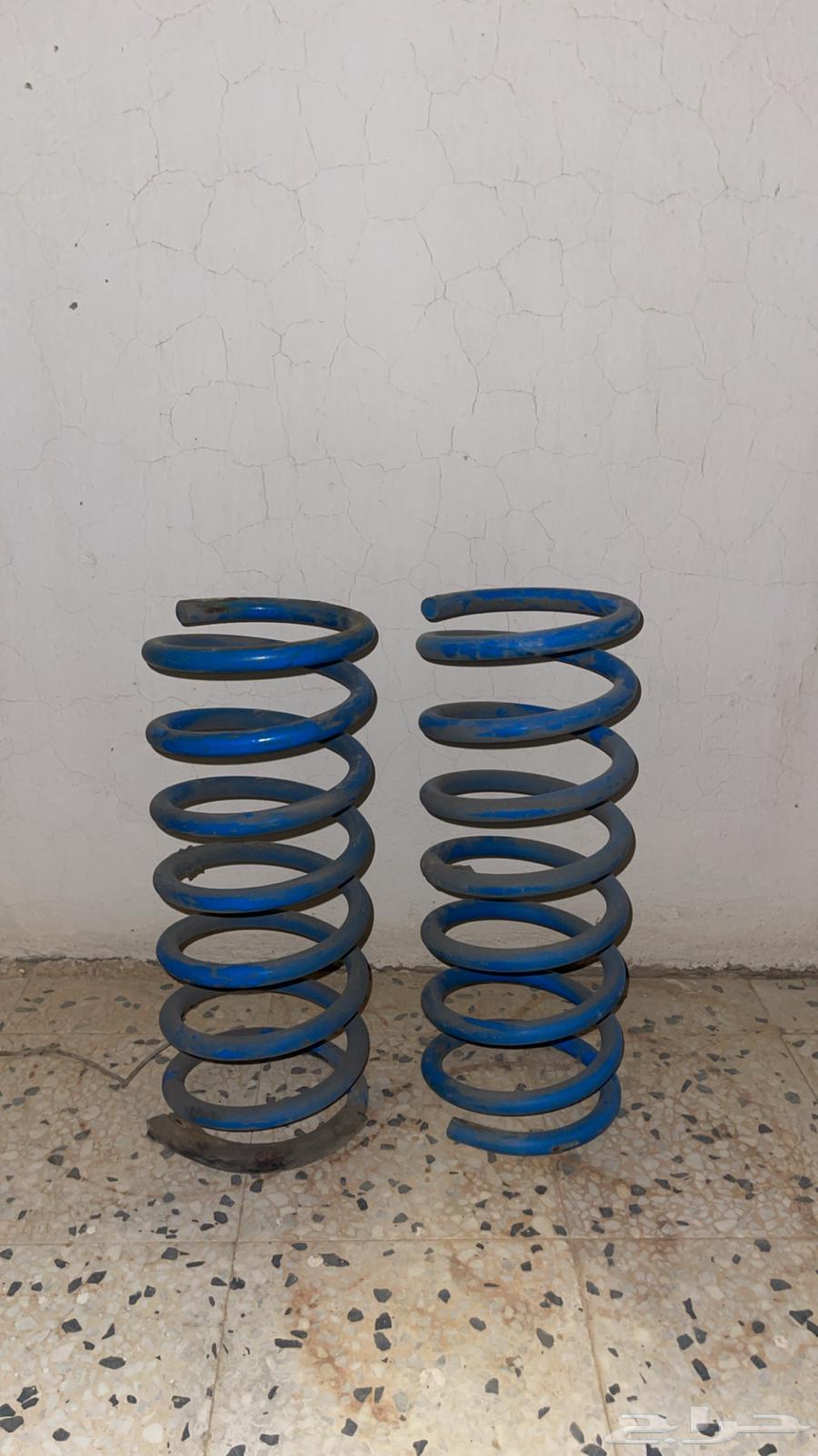 Australian Yiyas63667647793026110
