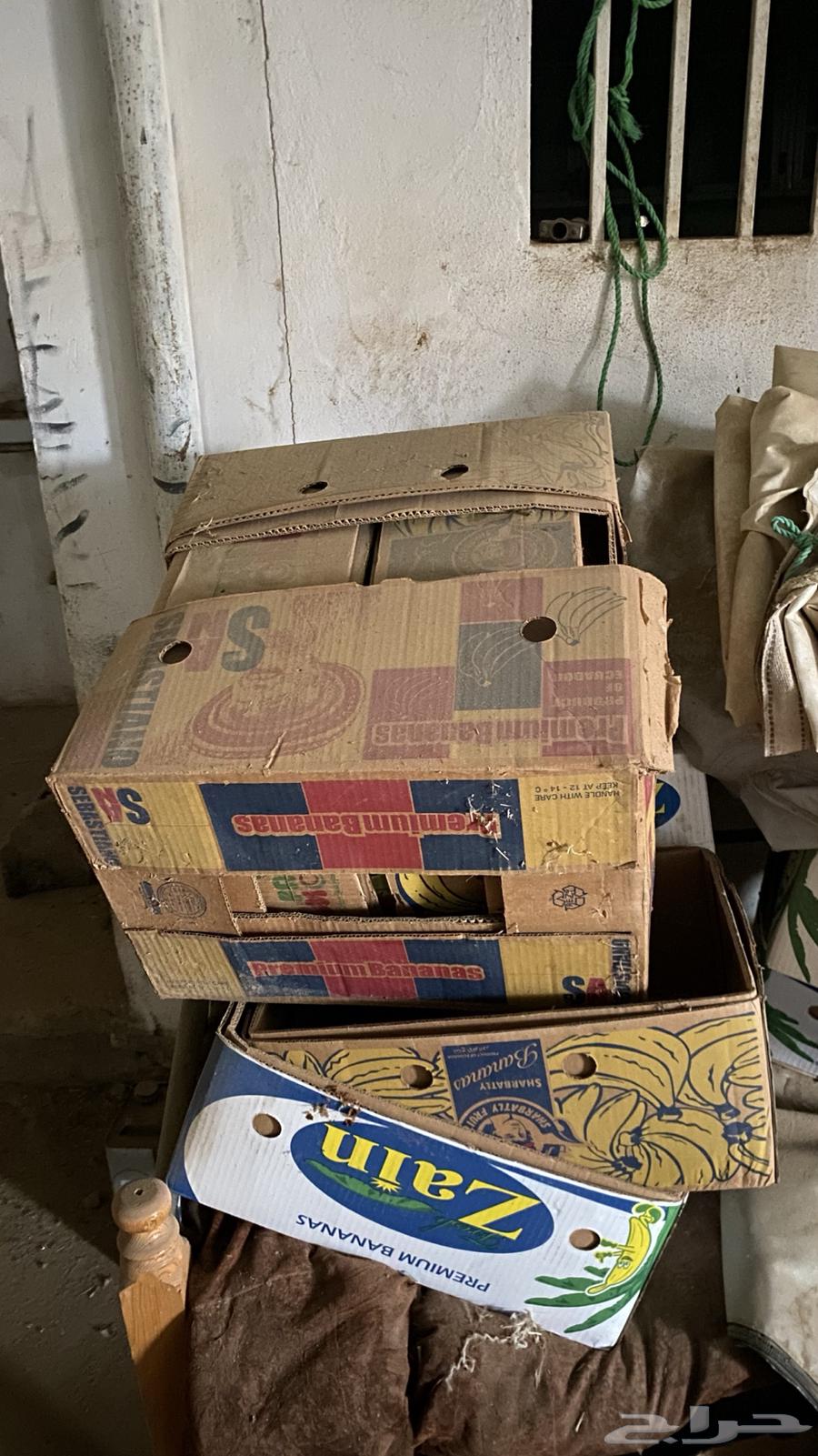 Selling two cartons63668897117315110