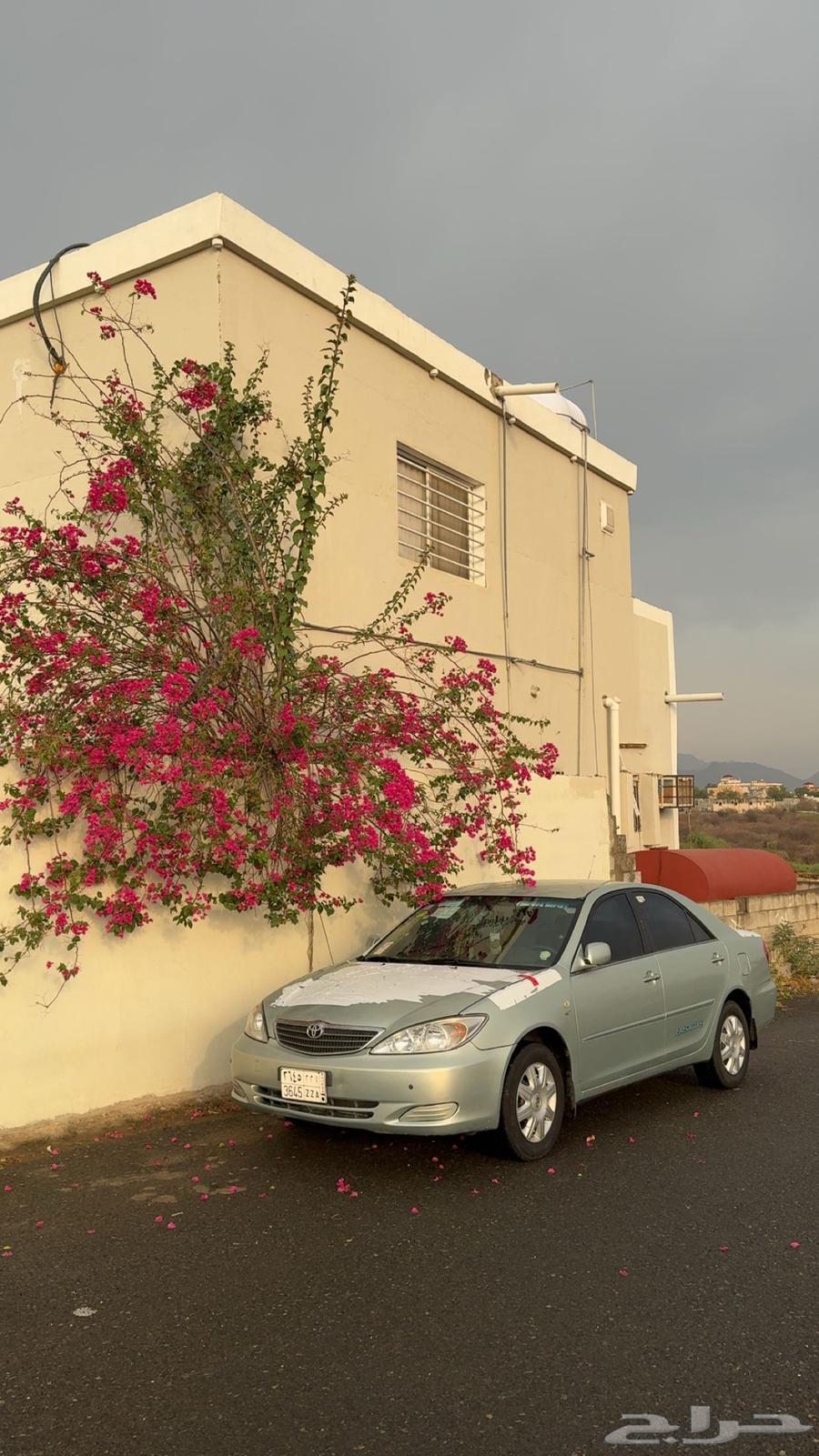 كامري 200363667512703105113