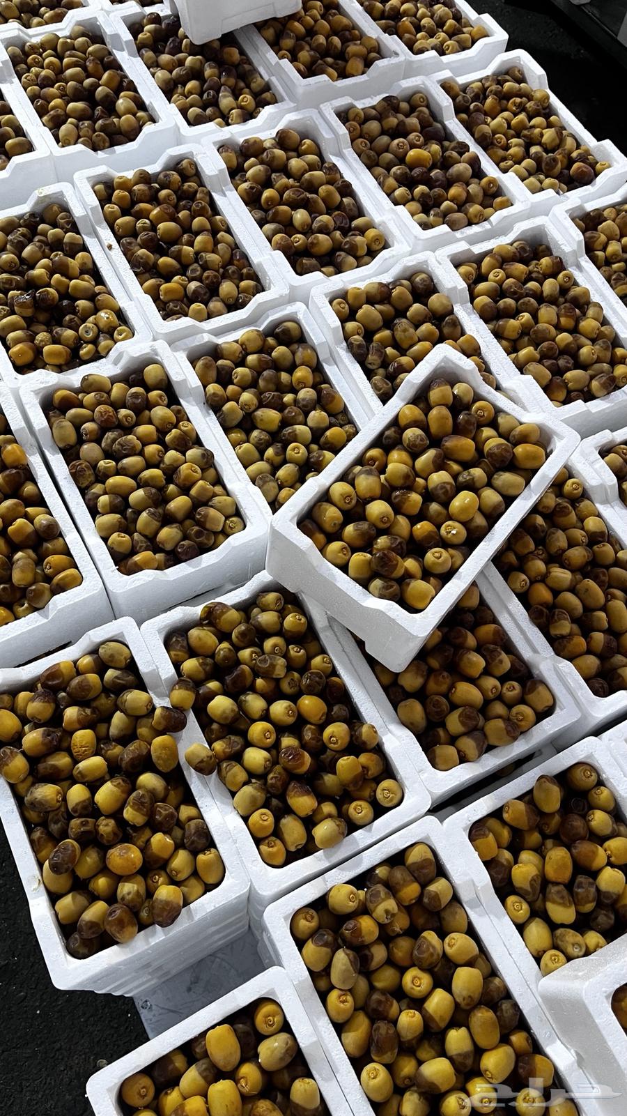 Ruthana dates for sale63655111568386112