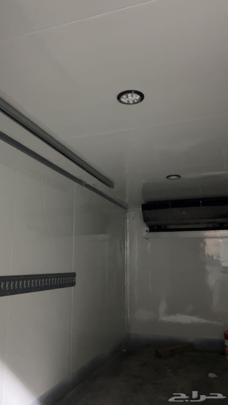 Dena Refrigerator Carrier 250 Freezing Cooling Modern for Sale 2 1063670412684418111
