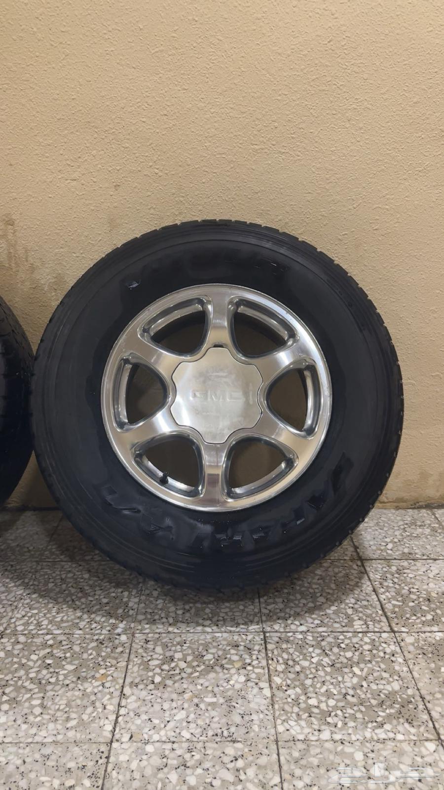 جنوط جمس دينالي 1763669439650433113