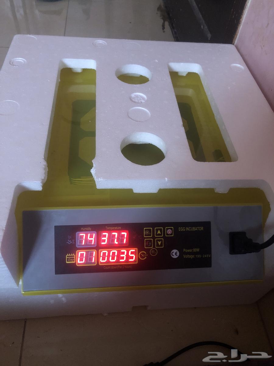 Hello, I urgently need to sell a 48-egg tray63655206850689110