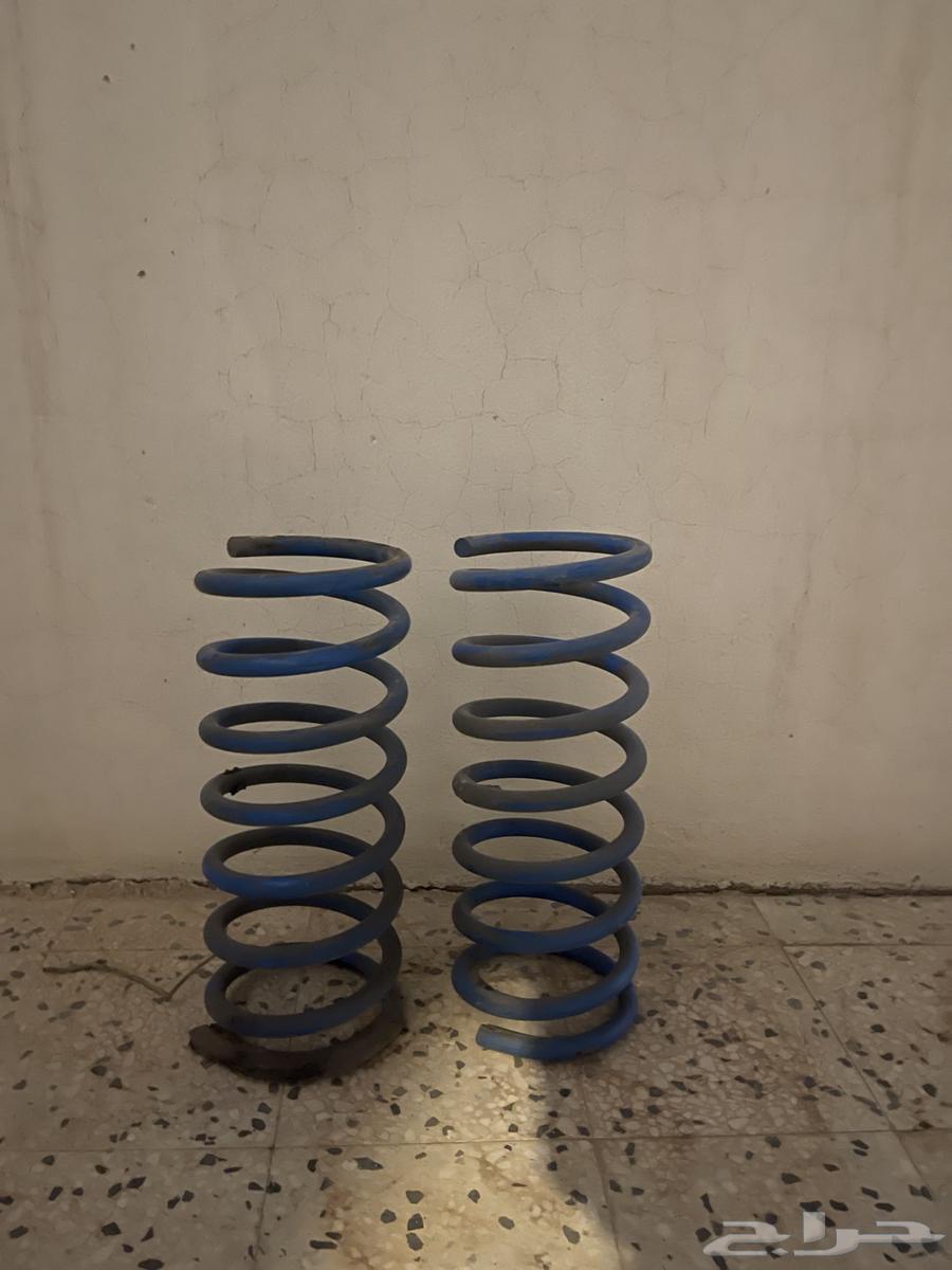 Australian Yiyas63667647793026111
