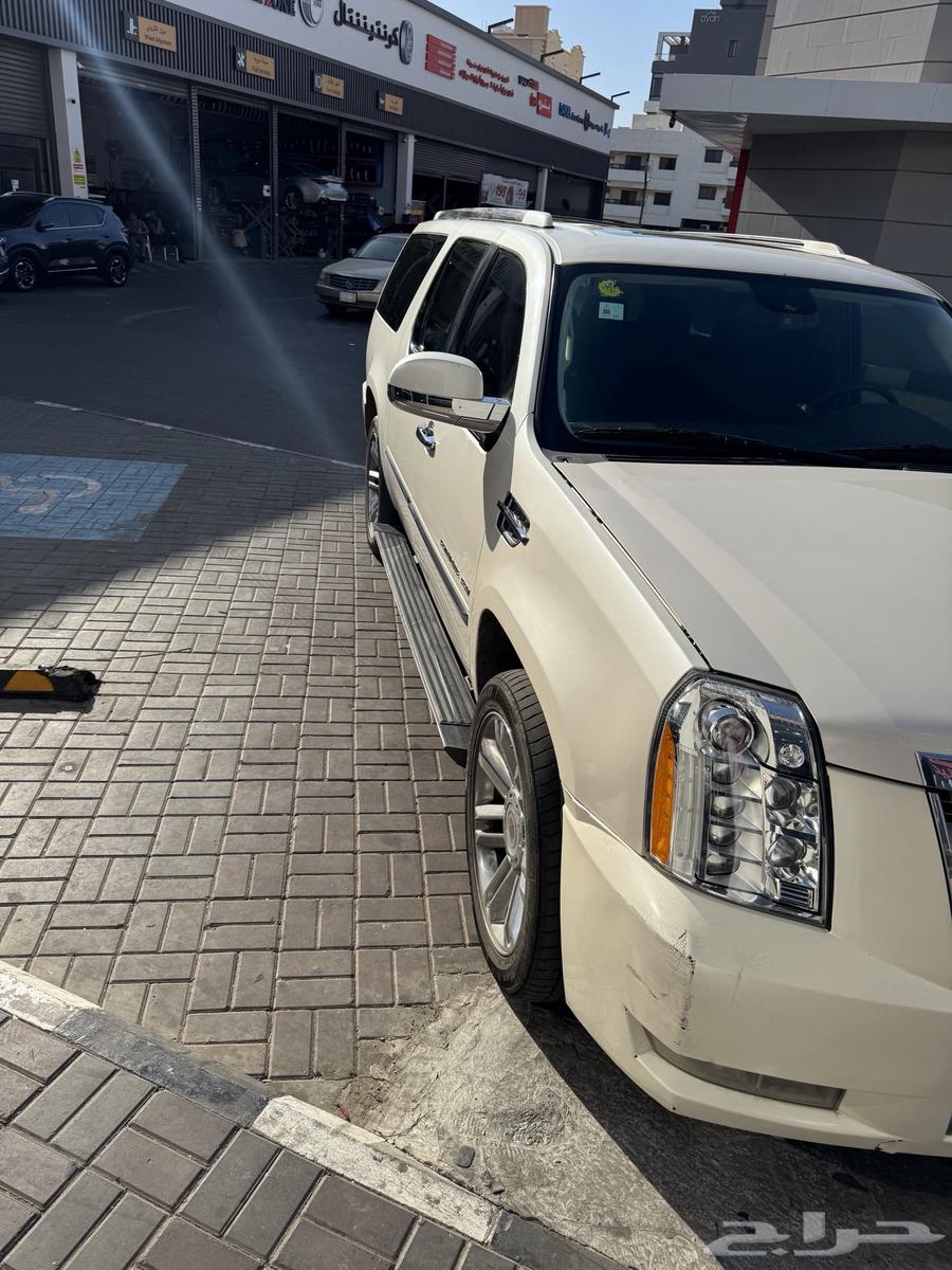 اسكاليد 2011 فل كامل للبيع63667650006659112