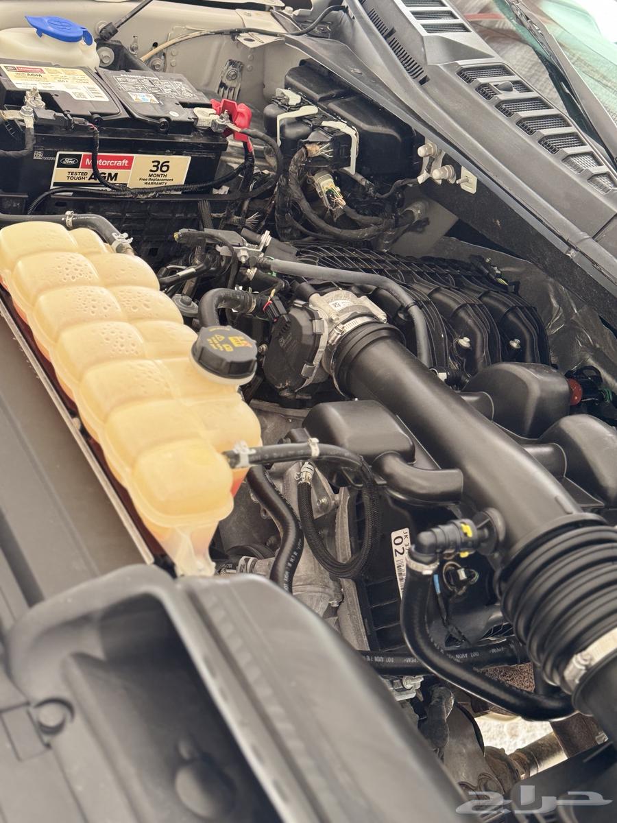 F150 Double Cab63667519191041112