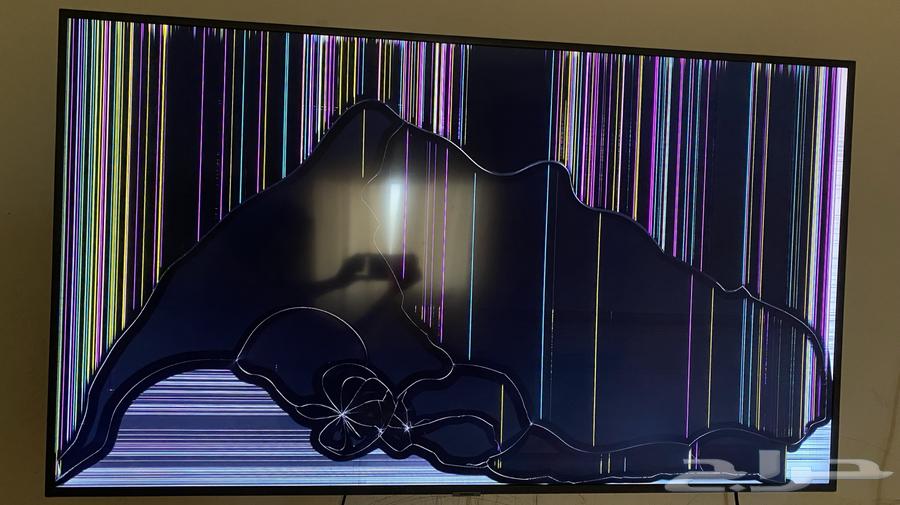 Samsung 55-inch screen63655223751555110